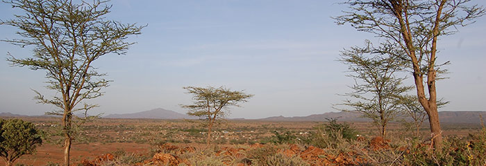 Environment